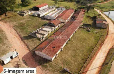 Chácara / sítio à venda na Rodovia Dom Gabriel Paulino Bueno Couto, --, Pedregulho, Itu