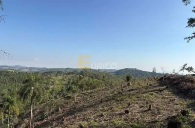 Terreno/sitio à venda no condomínio agroflorestal vale da alegria — santa branca / sp