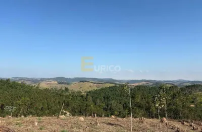 Terreno/sitio à venda no condomínio agroflorestal vale da alegria — santa branca / sp