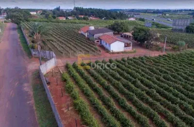 Chácara / sítio com 8 quartos à venda na Estrada Vicinal José Bonifácio Coutinho, --, Reforma Agrária, Campinas