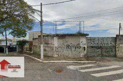 Terreno para alugar, 800 m² por r$ 6.650,00/mês - vila euthalia - são paulo/sp