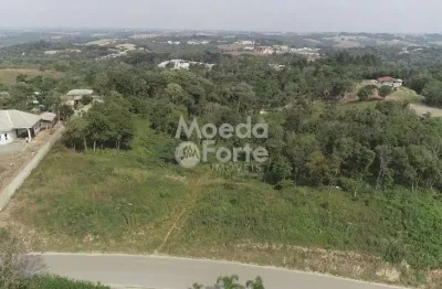 Terreno à venda na R: Ursula Ercule Cumim, 1380, Samambaia, Campo Magro por R$ 6.000.000