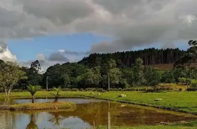Chácara / sítio à venda na Colônia Nova, Agudos do Sul 