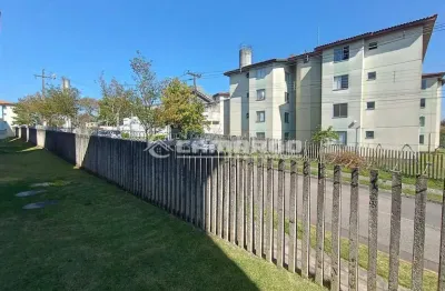 Apartamento com 2 quartos para alugar na Rua Vale dos Pássaros, 93, Cidade Industrial, Curitiba