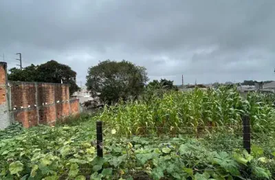 Terreno à venda na Rua Ivani Zamparo, Roseira de São Sebastião, São José dos Pinhais por R$ 270.000