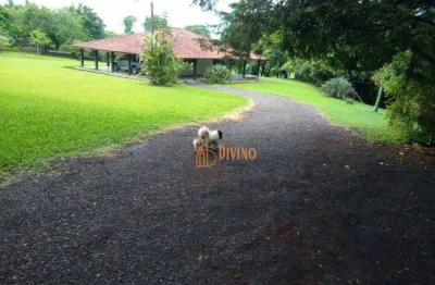 Fazenda à venda, 150 alqueires por r$ 25.000.000 - zona rural - ortigueira/pr