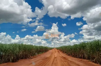 Fazenda à venda região de adamantina, 274alq r$ 52.060.000 - pacaembu - pacaembu/sp