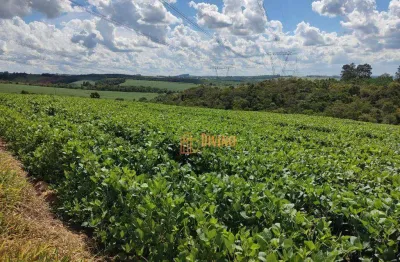 Sítio à venda, 30 alqueires por r$ 6.000.000 - são miguel arcanjo/sp
