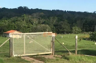 Sítio à venda, 20 alqueires por r$ 2.800.000 - área rural - itapetininga/sp