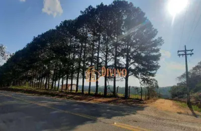 Sítio com casa simples, barracão e lago em piedade-sp