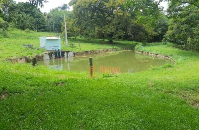 Sítio à venda, 43 hectares por r$  3.500.000,00  - marília/sp