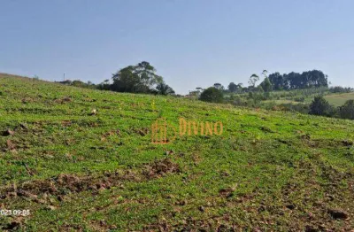 Sítio com 3 dormitórios à venda, 72600 m² por r$ 830.000 -  são miguel arcanjo/sp