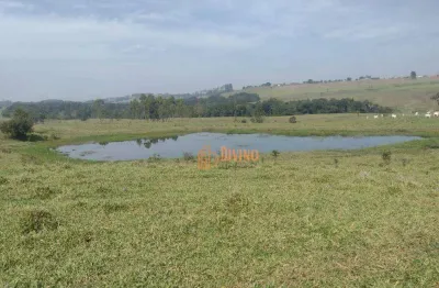 Sítio à venda, 12 alqueires por r$ 2.500.000 - área rural - itapetininga/sp