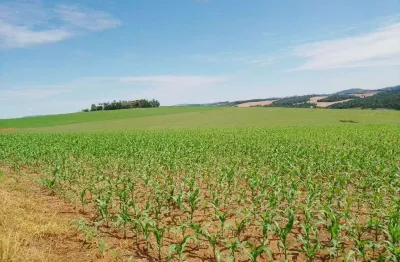 Fazenda à venda em itaporanga, sp - 270 alqueires oportunidade única!