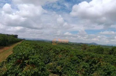 Fazenda com 5 dormitórios à venda, 1452000 m² por r$ 30.000.000,00 - zona rural - piumhi/mg