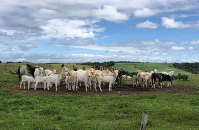 Fazenda à venda, 87 alqueires por r$ 22.000.000 - alambari/sp