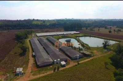 Sítio à venda, 8 alqueires por r$ 15.000.000 - cesario lange - cesário lange/sp