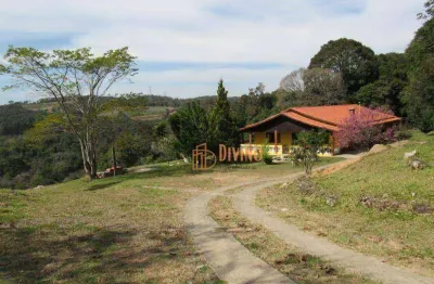 Chácara / sítio com 4 quartos à venda na Rua Araújo Leite, 2, Zona Rural, Piedade