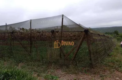 Sítio à venda, 82280 m² por r$ 700.000 - abaitinga - são miguel arcanjo/sp