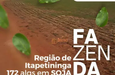 Fazenda à venda 205 alqs com 172 em soja à venda, por r$ 62.000.000 - região de itapetininga/sp