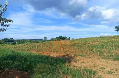 Sítio à venda, 11,7 alqueires por r$ 3.000.000 - zona rural - tatuí/sp