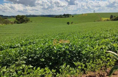 Chácara / sítio à venda na Sp-139, Abaitinga, São Miguel Arcanjo