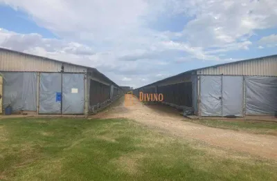 Sítio com granja à venda na região de itapetininga-sp