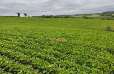Chácara / sítio à venda na Rodovia Nestor Fogaça, Zona Rural, Pilar do Sul