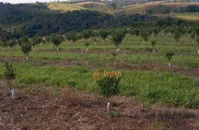 Chácara / sítio à venda na Estrada Municipal São Miguel Arcanjo, Centro, São Miguel Arcanjo