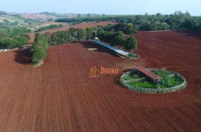 Fazenda à venda na Estrada Vicinal Maestro Benedito Pompeu de Jesus, 1, Área Rural de Itapetininga, Itapetininga