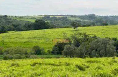 Fazenda à venda na Rodovia Estadual Ipanema, 8, Zona Rural, Araçoiaba da Serra