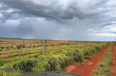 Fazenda à venda na Rua Assad Sallum, 1, Zona Rural, Paraguaçu Paulista