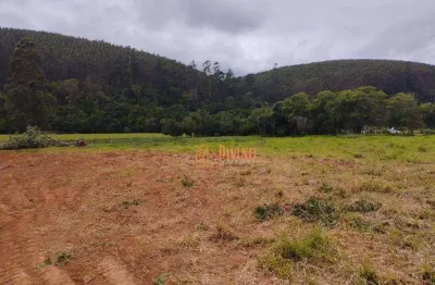Chácara / sítio à venda na Rodovia Nestor Fogaça, 5, Ribeirão, Pilar do Sul