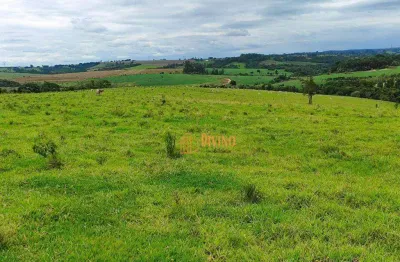 Chácara / sítio à venda na Estrada Vicinal Maestro Benedito Pompeu de Jesus, 11, Área Rural de Itapetininga, Itapetininga