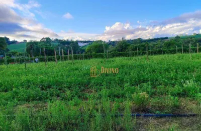 Chácara / sítio com 2 quartos à venda na Rua Joaquim Inácio Rodrigues Júnior, 10, Zona Rural, São Miguel Arcanjo