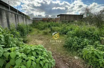 Terreno à venda no XV de Novembro, Tijucas 