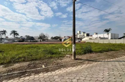 Terreno à venda, 370 m² por r$ 590.000,00 - universitário - tijucas/sc