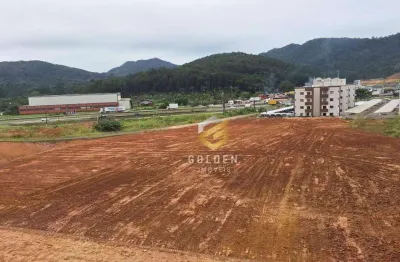 Terreno à venda, 12857 m² por r$ 12.000.000 - várzea do ranchinho - balneário camboriú/sc
