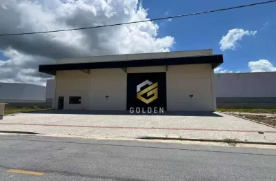 Galpão, 730 m² - venda por R$ 4.000.000 ou aluguel por R$ 18.250/mês - Santa Luzia - Tijucas/SC
