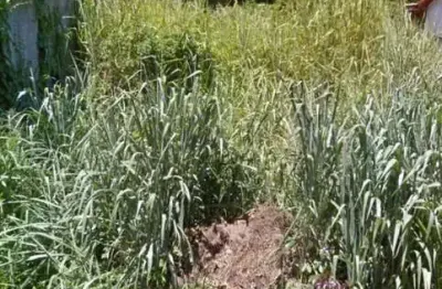 Terreno à venda no Centro, Maricá 