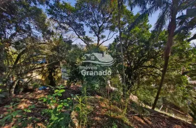 Terreno à venda com, 780.00 m , centro, porto belo - sc