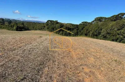 Espetacular área rural no caminho do vinho, 21.000m², à venda em são josé dos pinhais, colônia murici