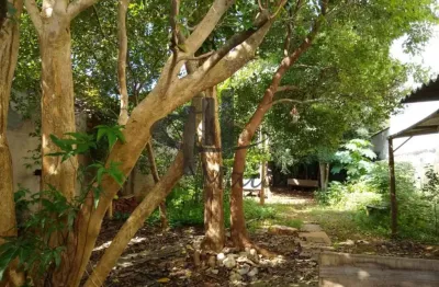 Terreno à venda na Lourdes, R, Nova Gerti, São Caetano do Sul