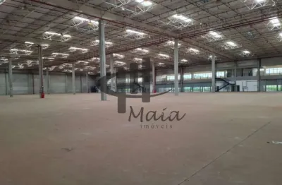 Barracão / Galpão / Depósito para alugar na Avenida Comendador Aladino Selmi, Centro, Campinas