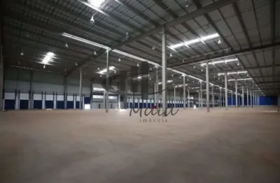 Barracão / Galpão / Depósito para alugar na Rua Leonardo Gonçalves, Centro, Ribeirão Preto