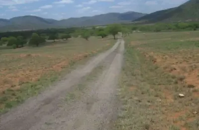 Grande oportunidade para adquirir excelente fazenda às margens da br 116, na região de jequié - bahia!!