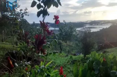 Grande oportunidade de adquirir excelente fazenda com preço imperdível na região sul da bahia!!