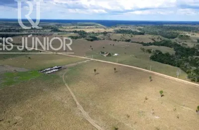 Fazenda de 1.240 hectares à venda em mascote-ba: sua oportunidade de investimento no campo!