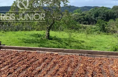 Fazenda à venda em ilhéus-ba com 242 hectares de área!