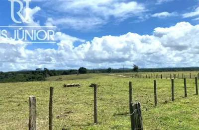 Fazenda espetacular vocacionada para Pecuária com extensas pastarias, curral, sede, eletrificada, a acerca de 12 km de Mascote-BA e a 15km da BR 101.